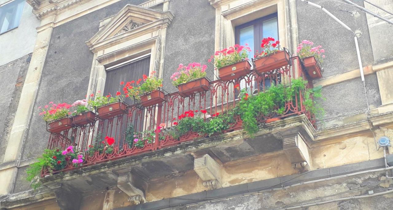 B&B Da Rosa Linguaglossa Ngoại thất bức ảnh